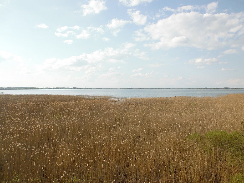 Jezioro Łuknajno